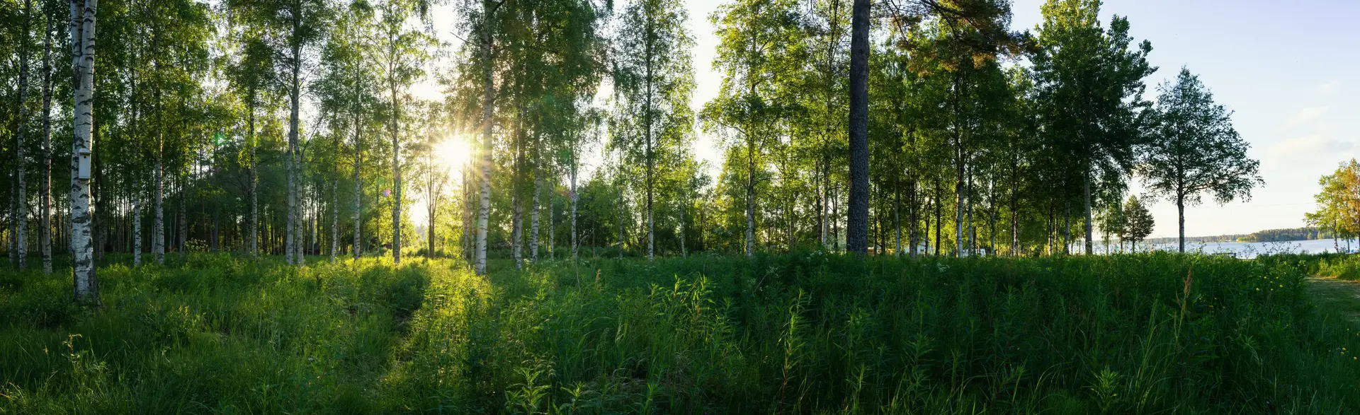 Byta FTX-aggregat Eksjö